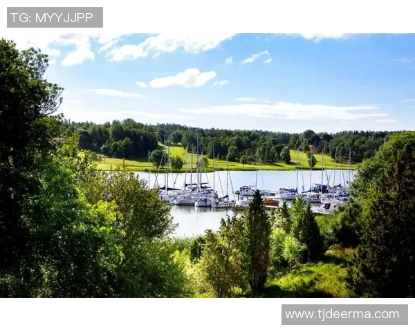 以拼音为英文名的足球明星:揭示他们独特的身份与职业之路 以拼音为英文名的足球明星:揭示他们独特的身份与职业之路