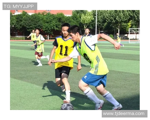 足球球星精湛技艺与竞技精神在绿茵场上的完美融合展现