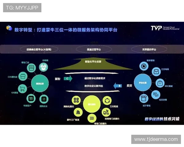 北京乒乓球队整体压制革新之路：从技术到战术的全面升级与突破