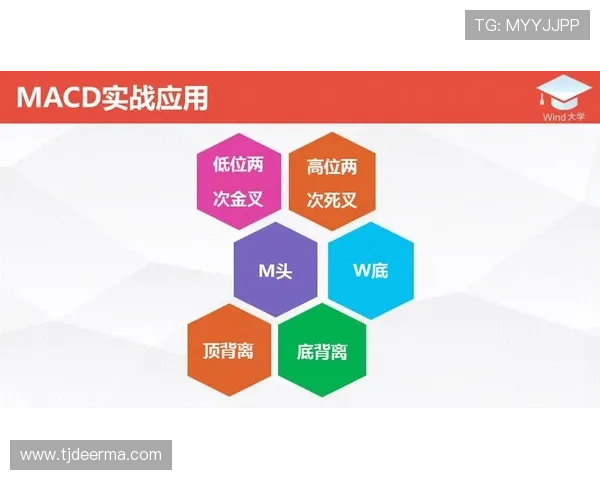 深入分析上海排球队防反战术的独特魅力与实战应用 深入分析上海排球队防反战术的独特魅力与实战应用