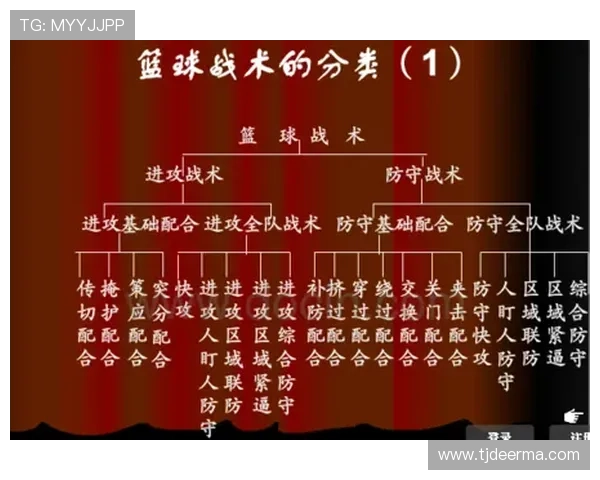深圳篮球队的个人能力揭秘：从技术到战术的全面分析与探讨