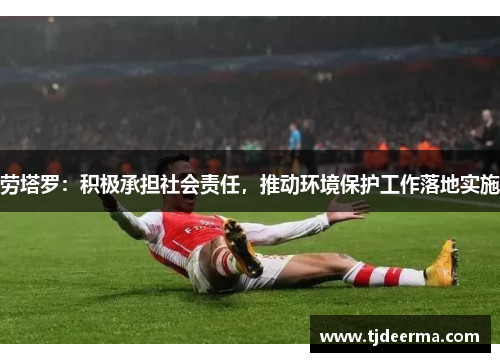 劳塔罗：积极承担社会责任，推动环境保护工作落地实施