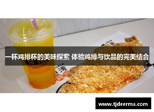 一杯鸡排杯的美味探索 体验鸡排与饮品的完美结合