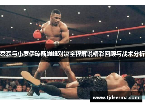 泰森与小罗伊琼斯巅峰对决全程解说精彩回顾与战术分析